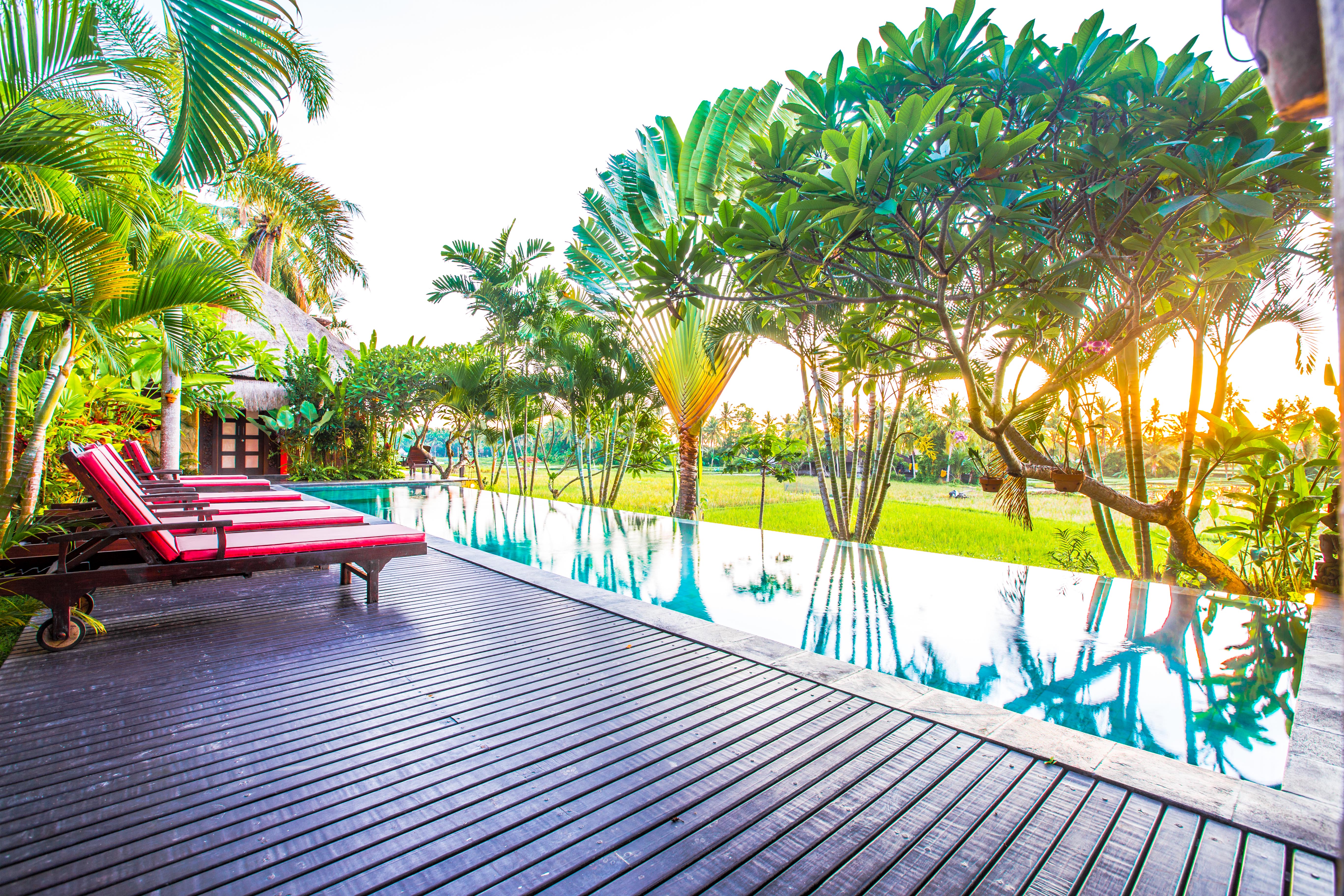Bali Harmony Villas infinity pool overlooking the rice fields near Ubud
